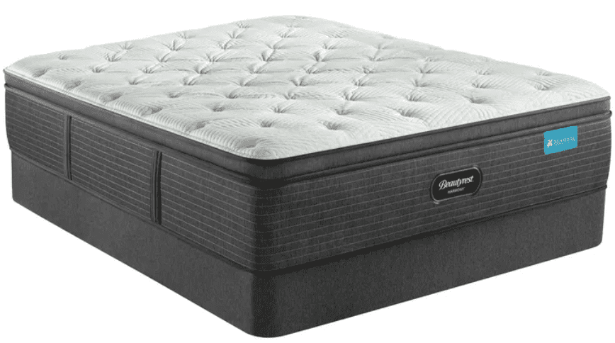 Cayman Plush Pillow Top